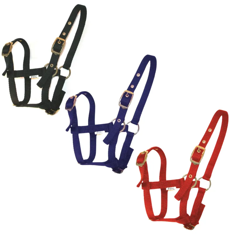 JHL Foal Headcollar 