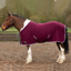 Gallop Ponie Tiddlywinks Jersey Cooler Rug - Burgundy/White/Grey