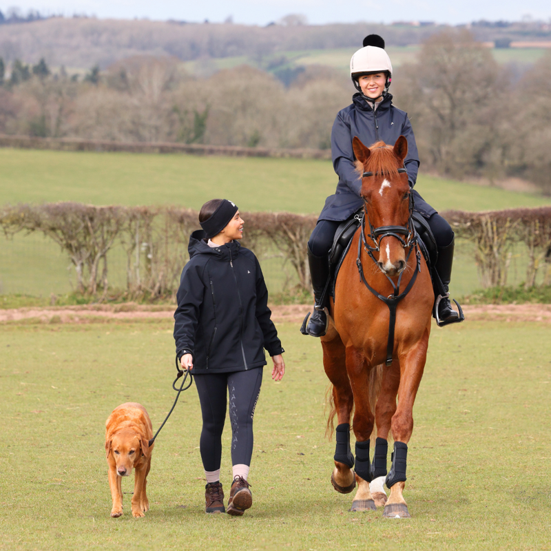 Aubrion React Non-Stop Riding Tights - Shadow-12