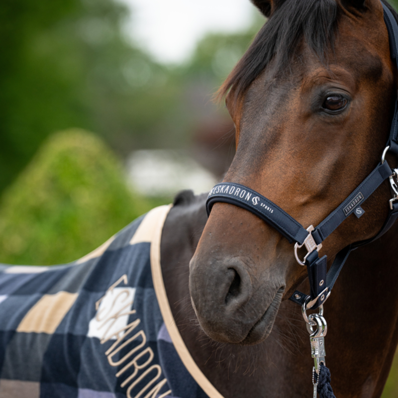 Eskadron Sparkle Double Pin Headcollar Classic Sports SS26 - Navy-1