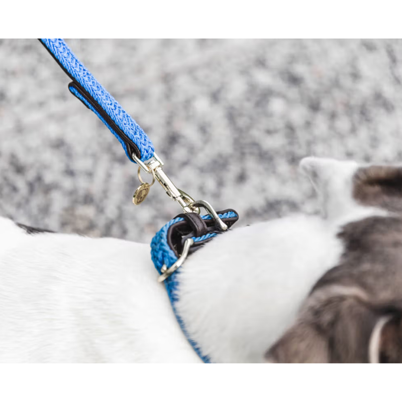 Kentucky Plaited Nylon Dog Lead 2M - Light Blue-1