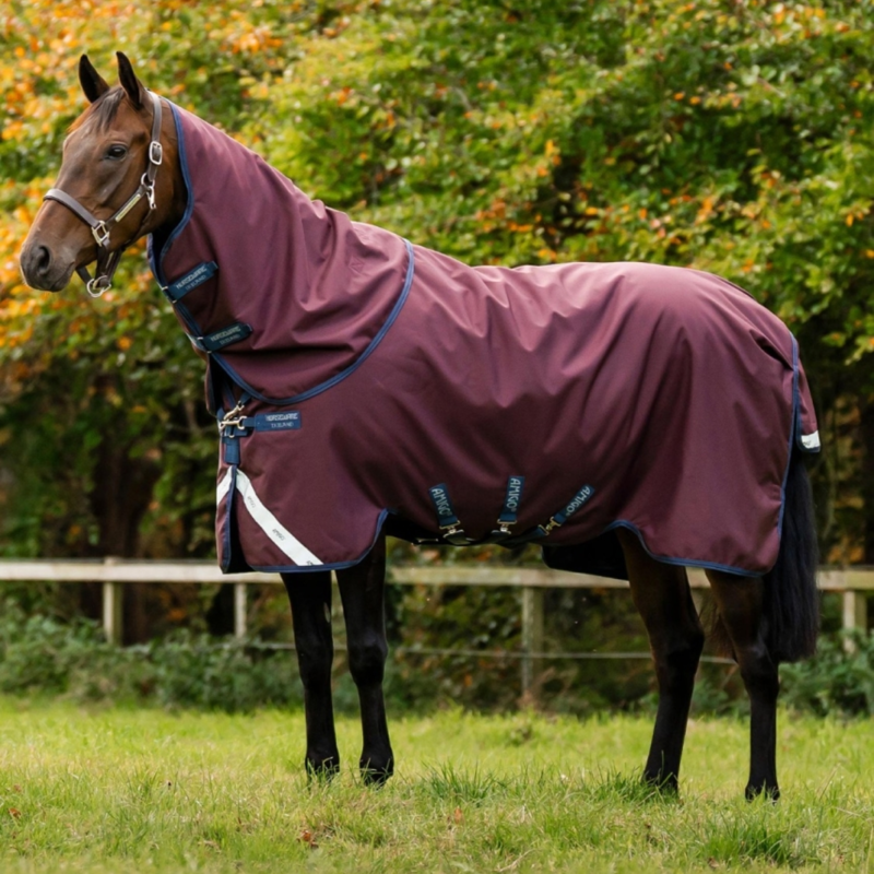 Horseware Amigo 1200D 400g Turnout Rug Plus - Burgundy/Navy/Titanium Grey
