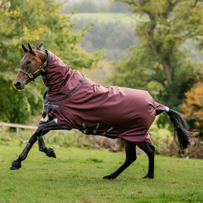 Horseware Amigo 1200D 400g Turnout Rug Plus - Burgundy/Navy/Titanium Grey-6