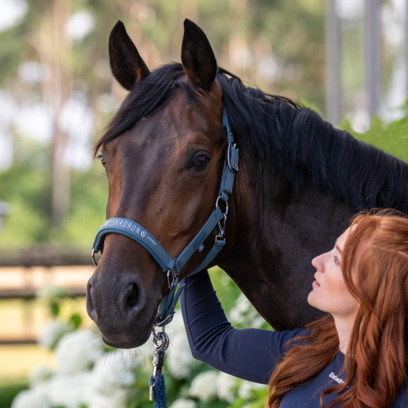 Eskadron Sparkle Double Pin Headcollar Classic Sports SS26 - Ocean-1