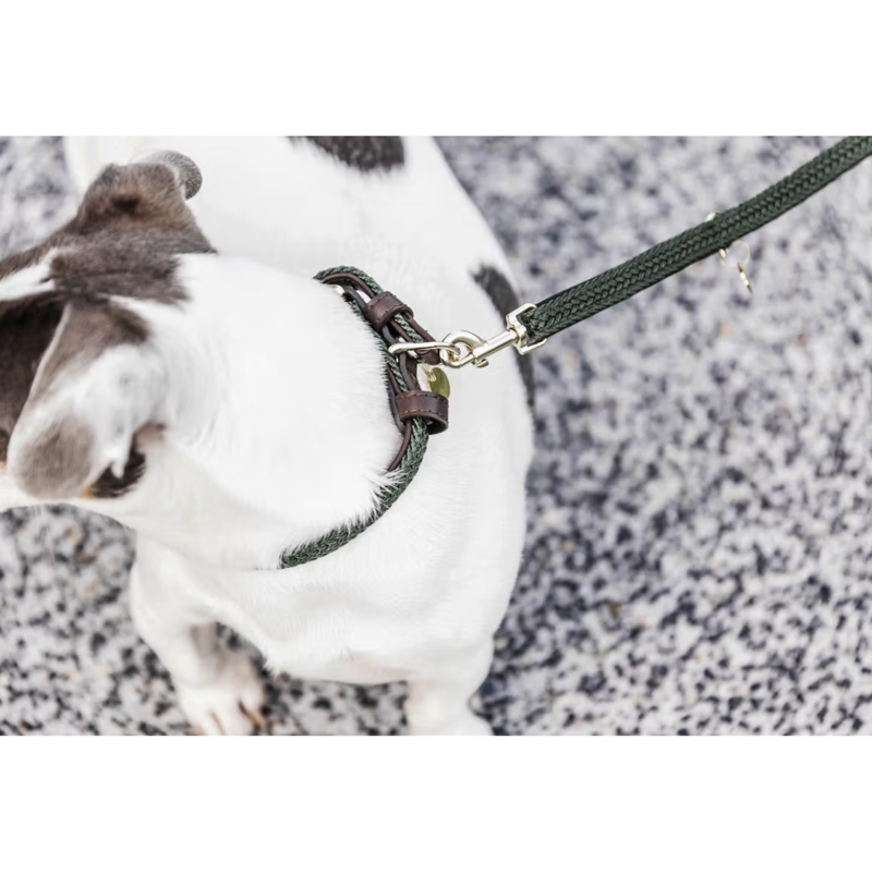 Kentucky Plaited Nylon Dog Lead 2M - Olive Green-1