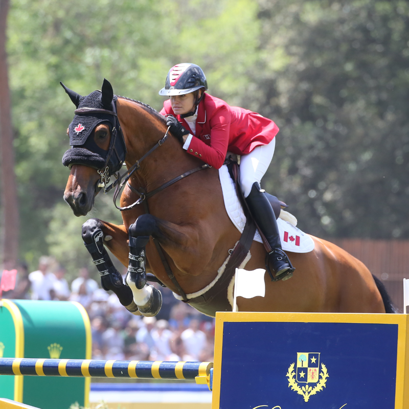 Veredus Carbon Gel Absolute XPRO Tendon Boots - Black-1