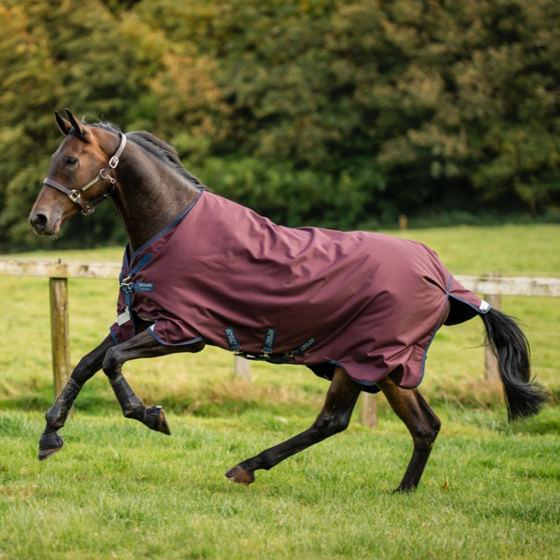 Horseware Amigo 1200D 50g Turnout Rug - Burgundy/Navy/Titanium Grey-7