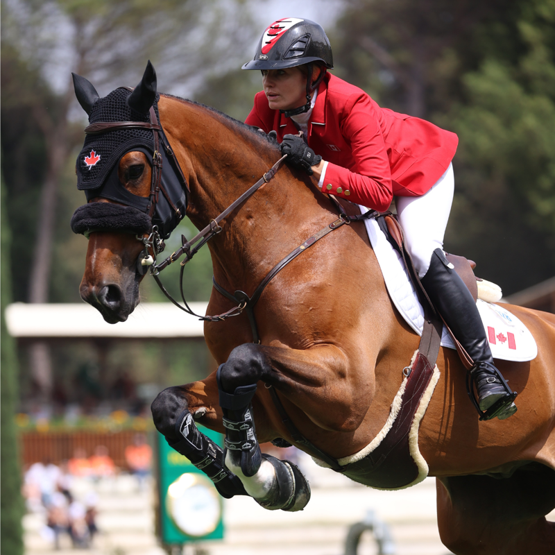 Veredus Carbon Gel Absolute XPRO Tendon Boots - Black-2