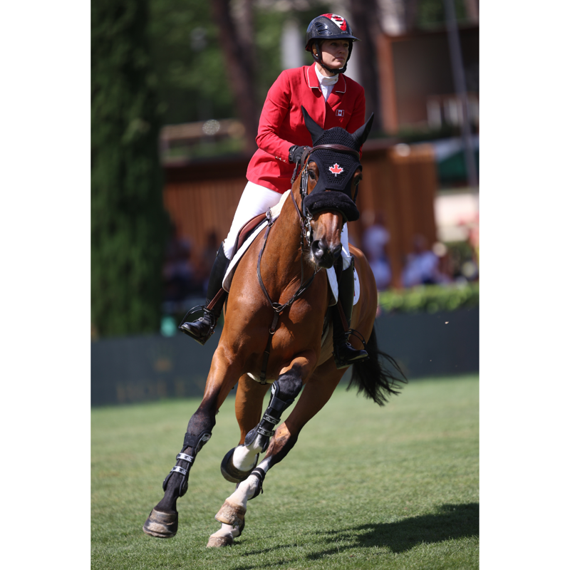 Veredus Carbon Gel Absolute XPRO Tendon Boots - Black-3