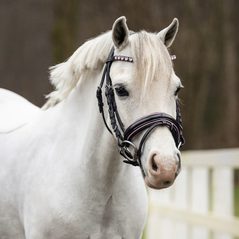 QHP Bixie Bridle - Black/Pink-2