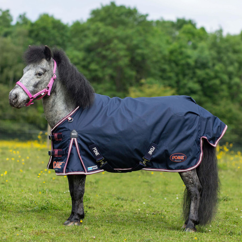 Gallop Ponie Duraproof 50g 5-Point Standard Neck Turnout Rug - Navy