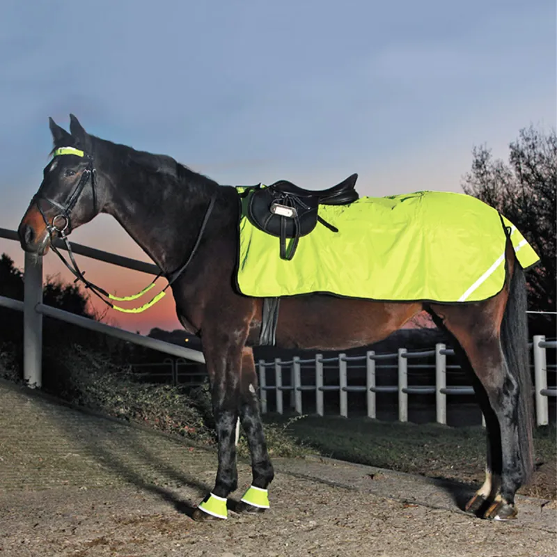Waldhausen Hi-Viz Exercise Sheet - Neon Yellow