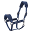 HV Polo Teddy Headcollar - Navy