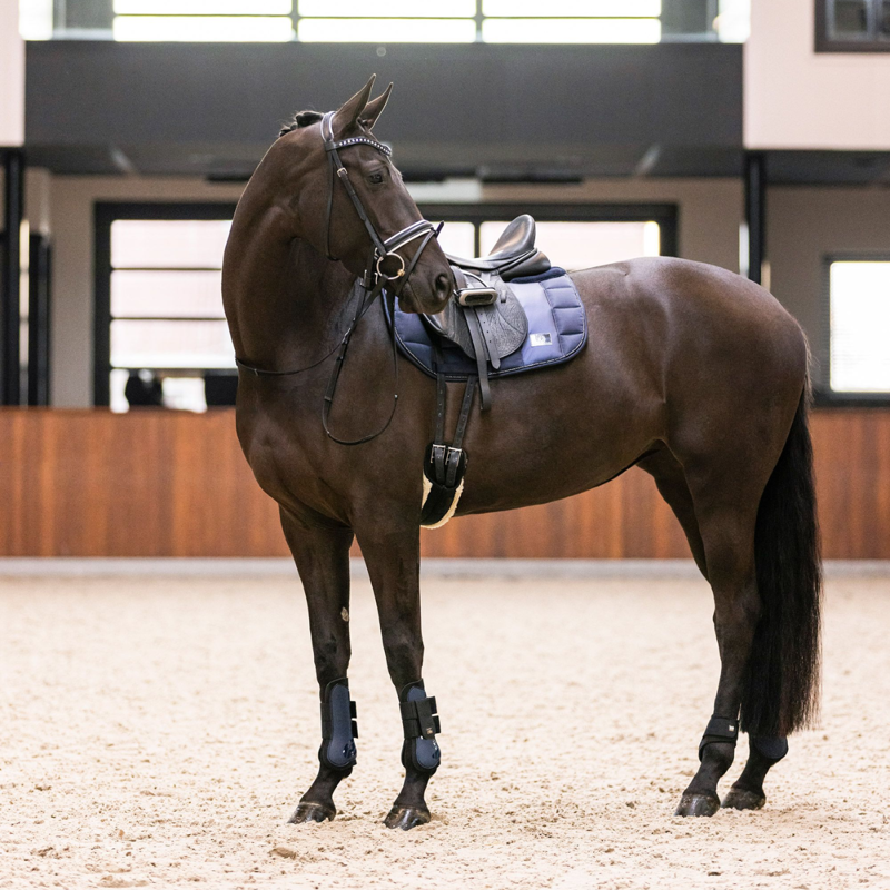 Imperial Riding Lovely Tendon Boots - Navy-2