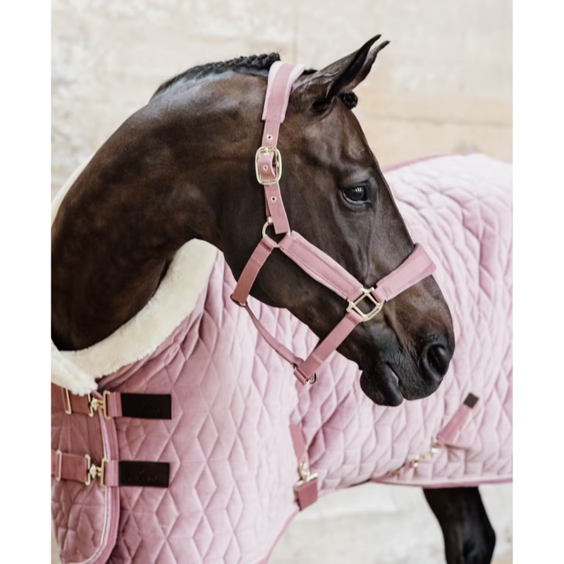 Kentucky Velvet Headcollar - Soft Rose-2