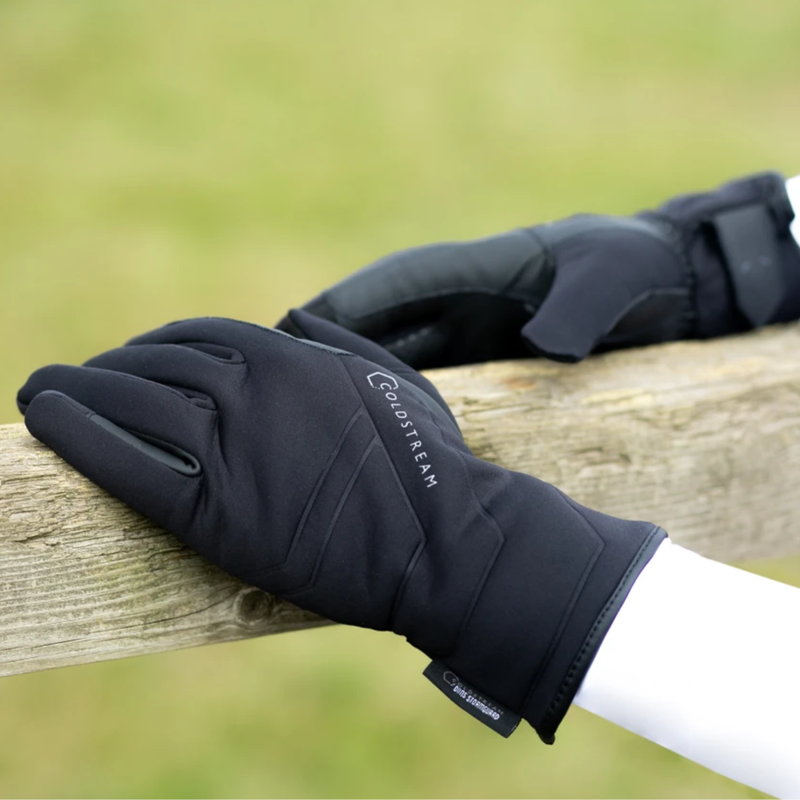 Coldstream Duns StormGuard Gloves - Black-1