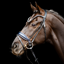 Schockemohle SP Luxury Dressage Bridle - Black/Blue/Silver