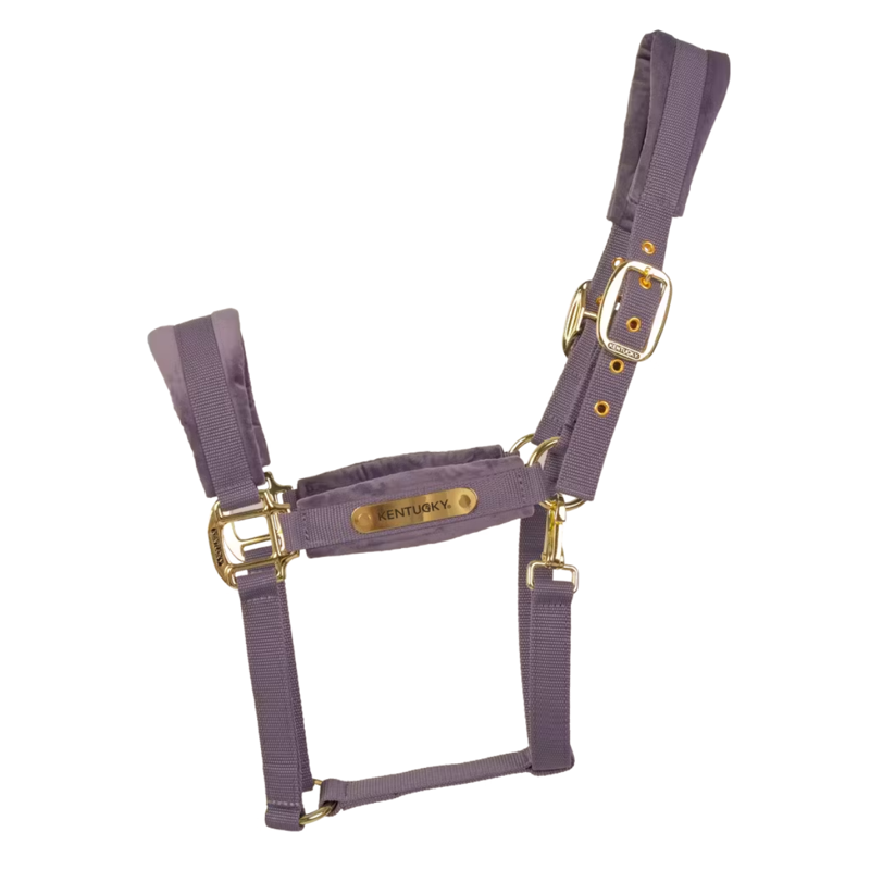 Kentucky Velvet Headcollar - Purple