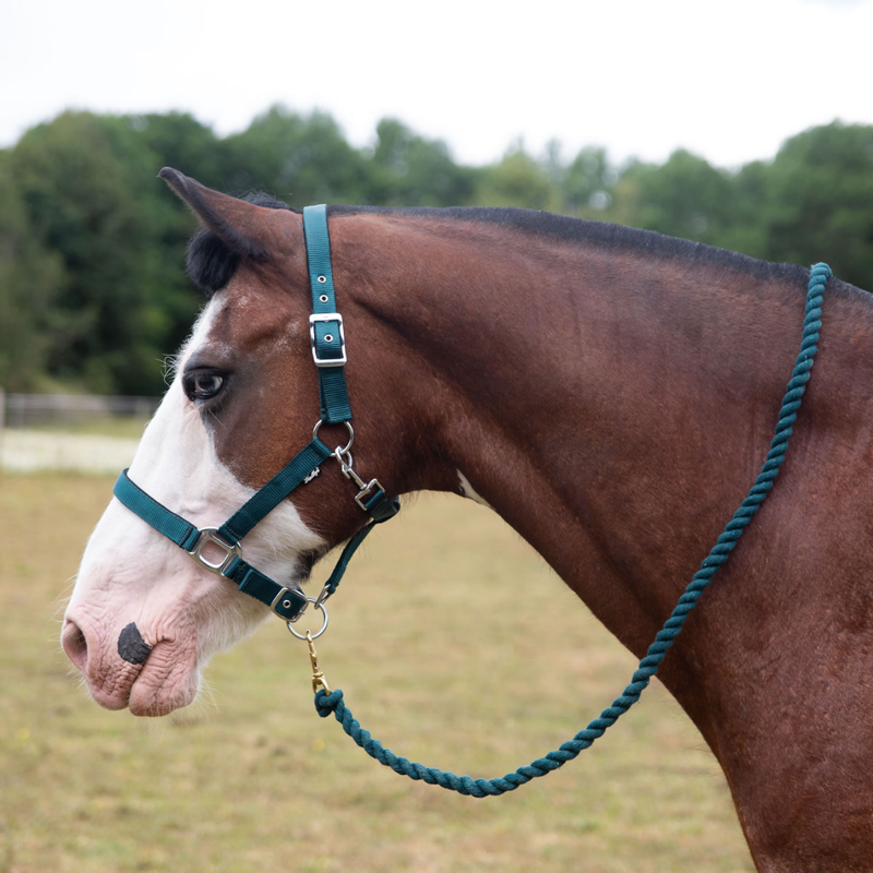 Gallop Premium Padded Headcollar with Matching Leadrope - Green