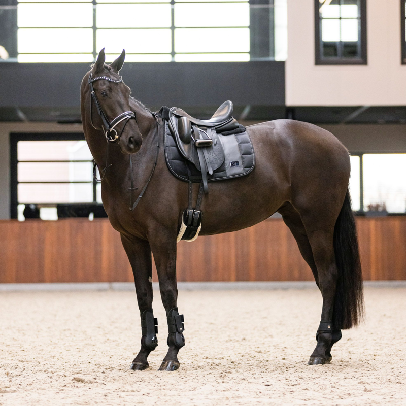 Imperial Riding Lovely Tendon Boots - Black-2