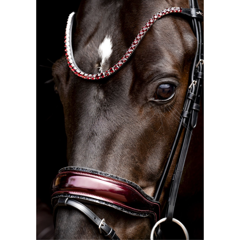 Schockemohle SP Luxury Dressage Bridle - Black/Wine/Silver-3