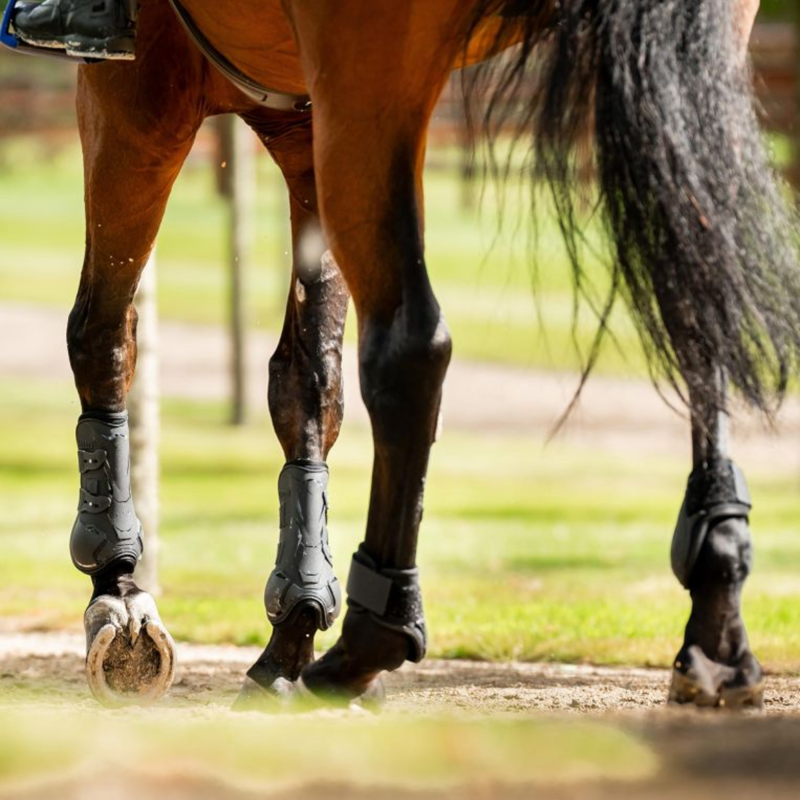 Horseware Classic Fetlock Boots - L - Black/Black-3