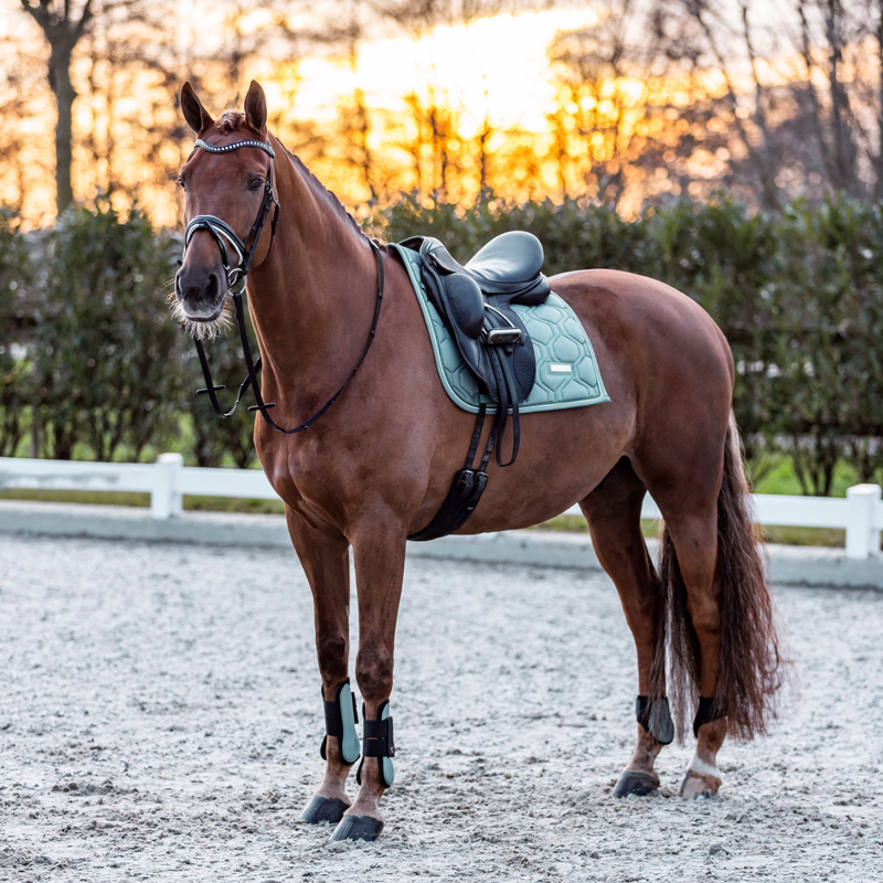 Imperial Riding Lovely Fetlock Boots - Sage Green-1