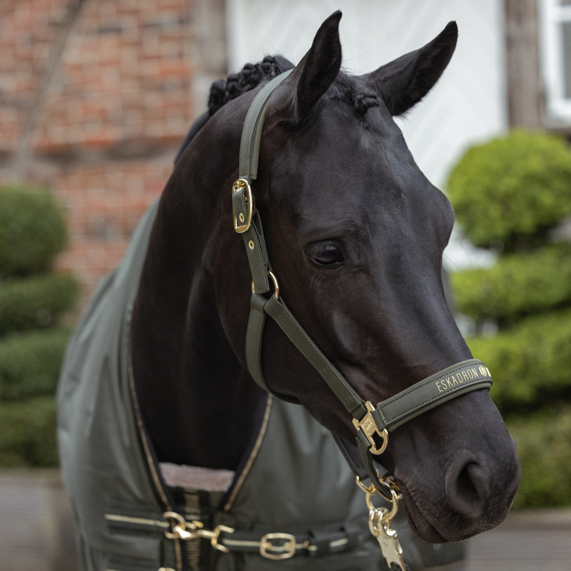 Eskadron Faux Leather Double Pin Headcollar Heritage AW26 - Deep Moss-1