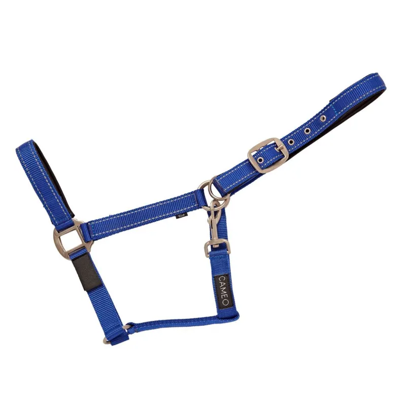Cameo Fieldsafe Headcollar - Royal/Reflective