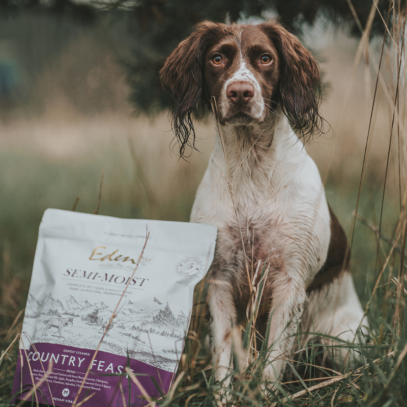 Eden Semi-Moist Country Feast Kibble Dog Food-2