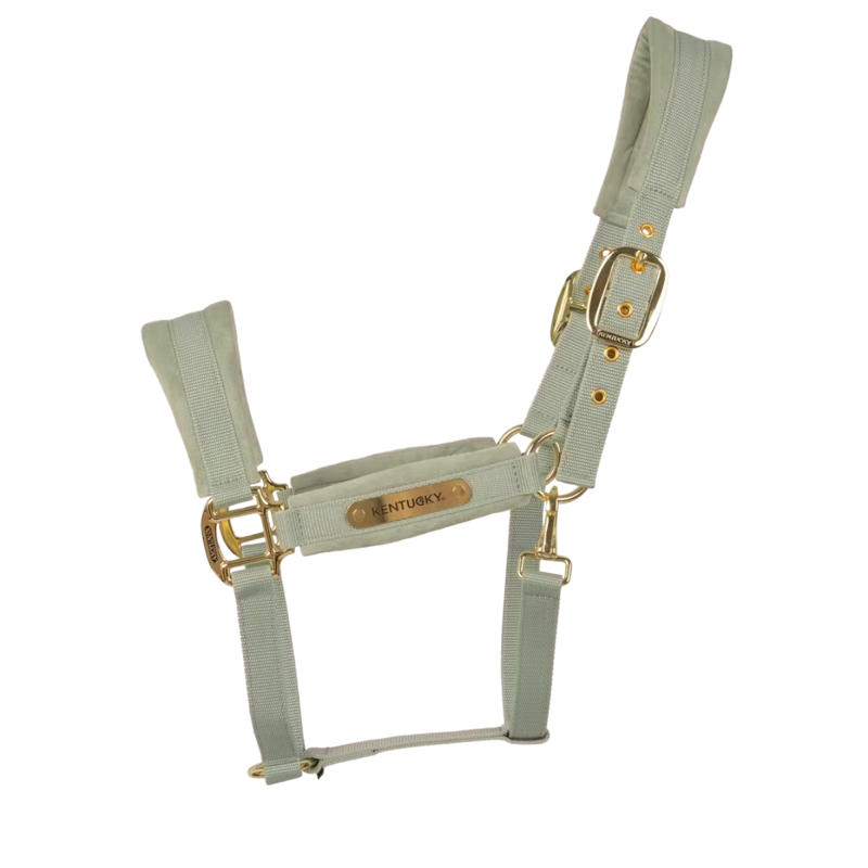 Kentucky Velvet Headcollar - Mint