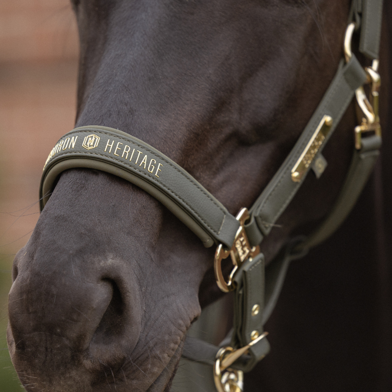 Eskadron Faux Leather Double Pin Headcollar Heritage AW26 - Deep Moss-2