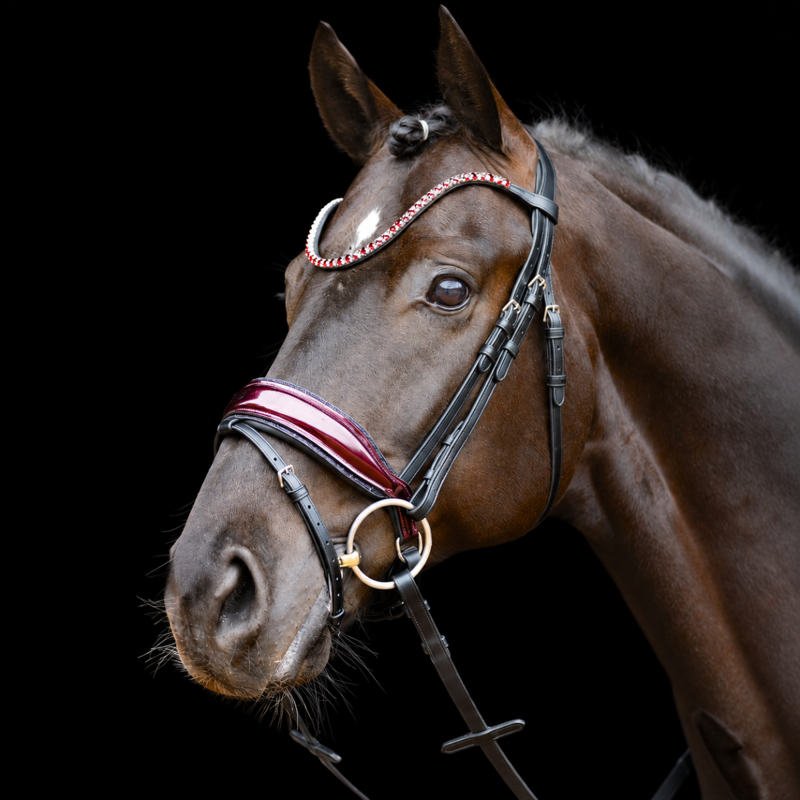 Schockemohle SP Luxury Dressage Bridle - Black/Wine/Silver