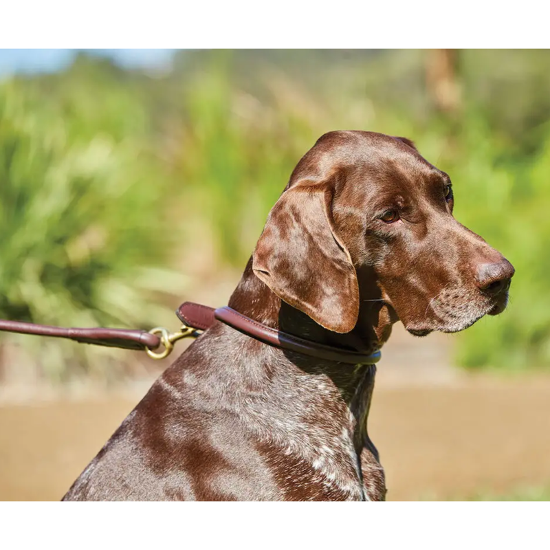 WeatherBeeta Rolled Leather Dog Collar - Brown-1