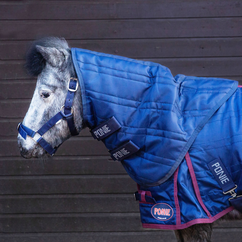 Gallop Ponie 50g Stable Neck Cover - Navy