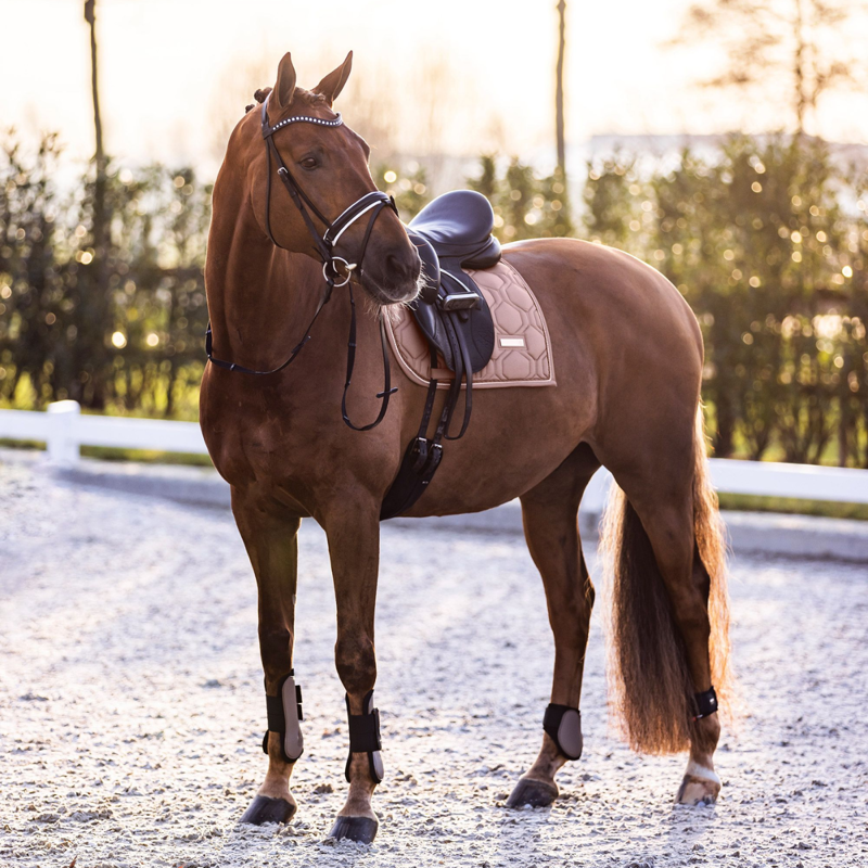 Imperial Riding Lovely Fetlock Boots - Cappuccino-2