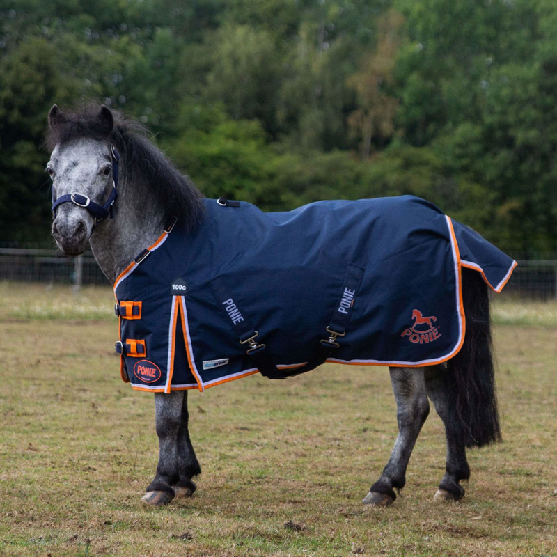 Gallop Ponie Duraproof 100g Turnout Rug - Navy