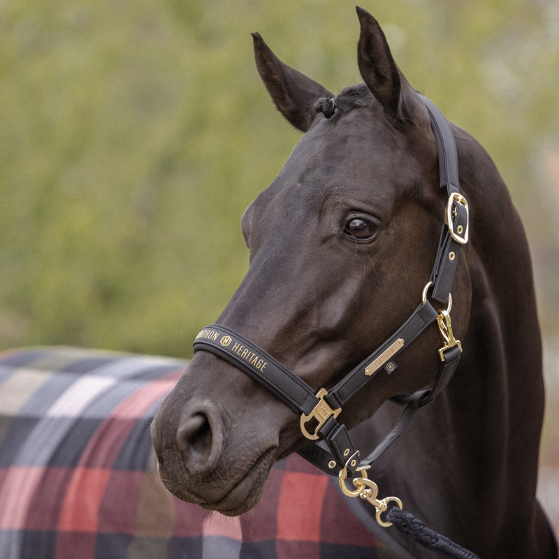 Eskadron Faux Leather Double Pin Headcollar Heritage AW26 - Black-1