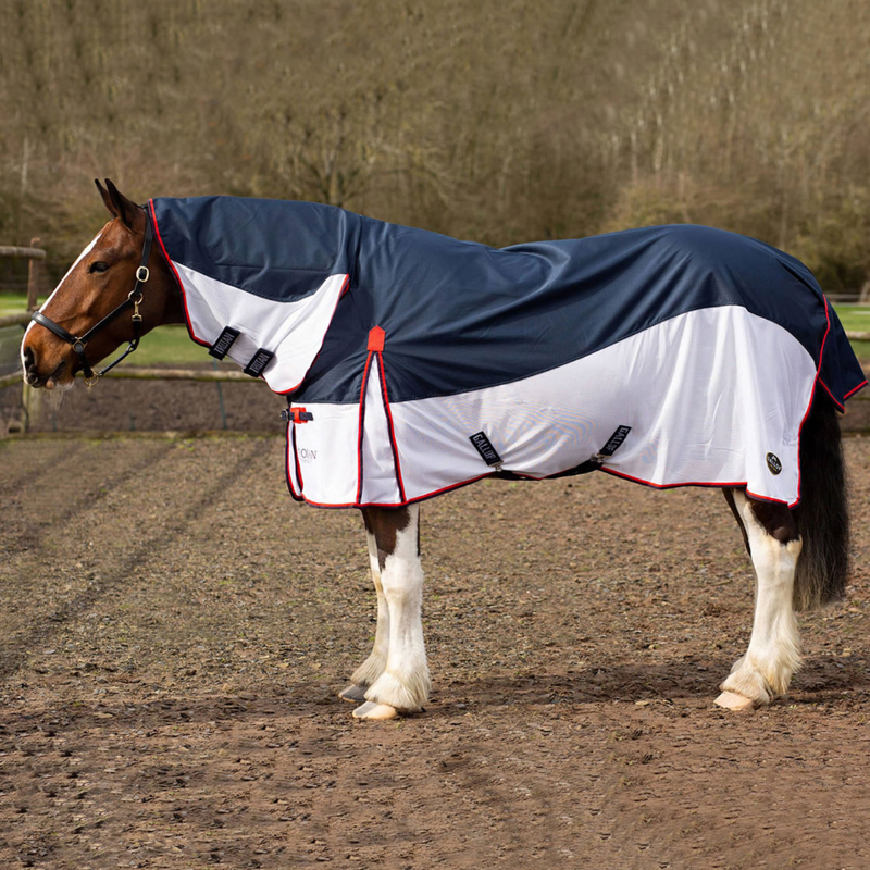 Gallop Ponie Turnout Fly Rug Combo - Navy