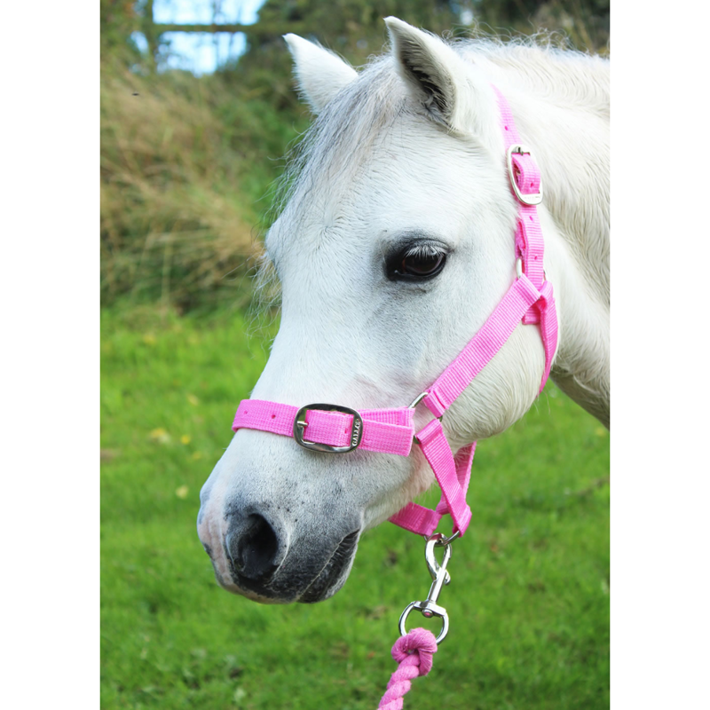 Gallop Headcollar and Leadrope Set - Pink