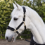 Cameo Suede Elite Headcollar and Rope - Black