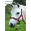 Gallop Headcollar and Leadrope Set - Burgundy
