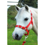 Gallop Headcollar and Leadrope Set - Red