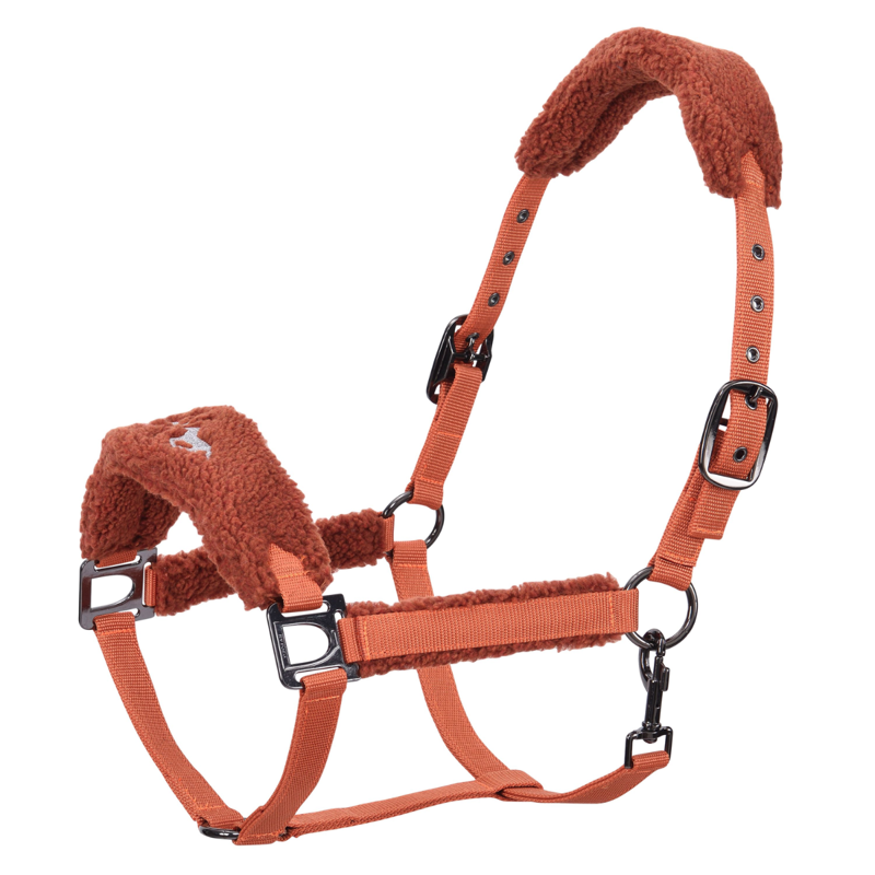HV Polo Teddy Headcollar - Pumpkin