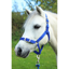 Gallop Headcollar and Leadrope Set - Royal Blue