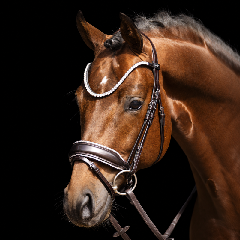 Schockemohle SP Luxury Dressage Bridle - Espresso/Toffee/Silver