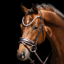 Schockemohle SP Luxury Dressage Bridle - Espresso/Toffee/Silver