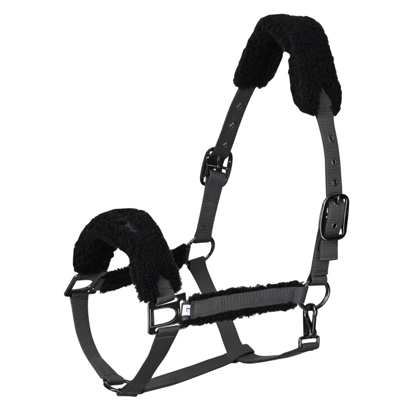 HV Polo Teddy Headcollar - Cloud