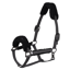 HV Polo Teddy Headcollar - Cloud