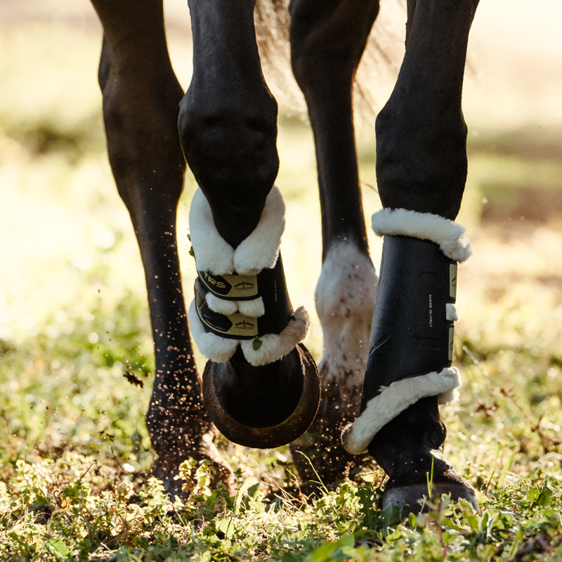Advent Day 8 - Veredus TRS Save The Sheep Boots-7
